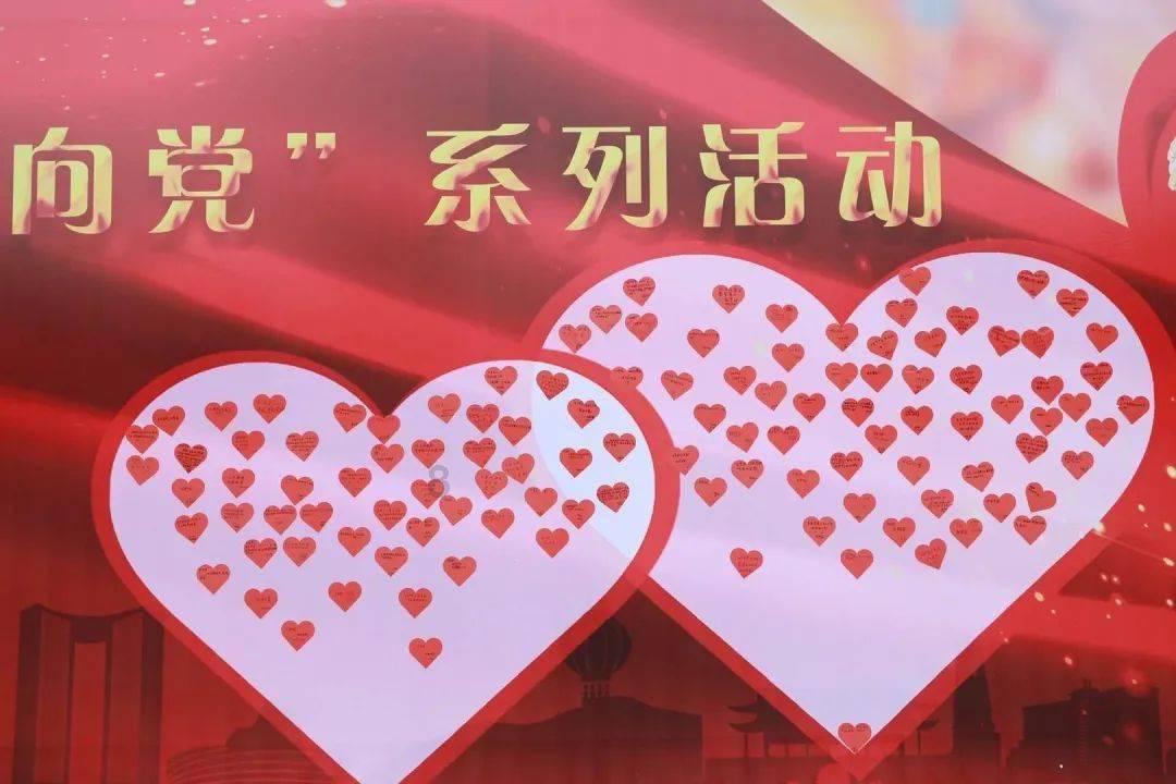可爱的小考拉